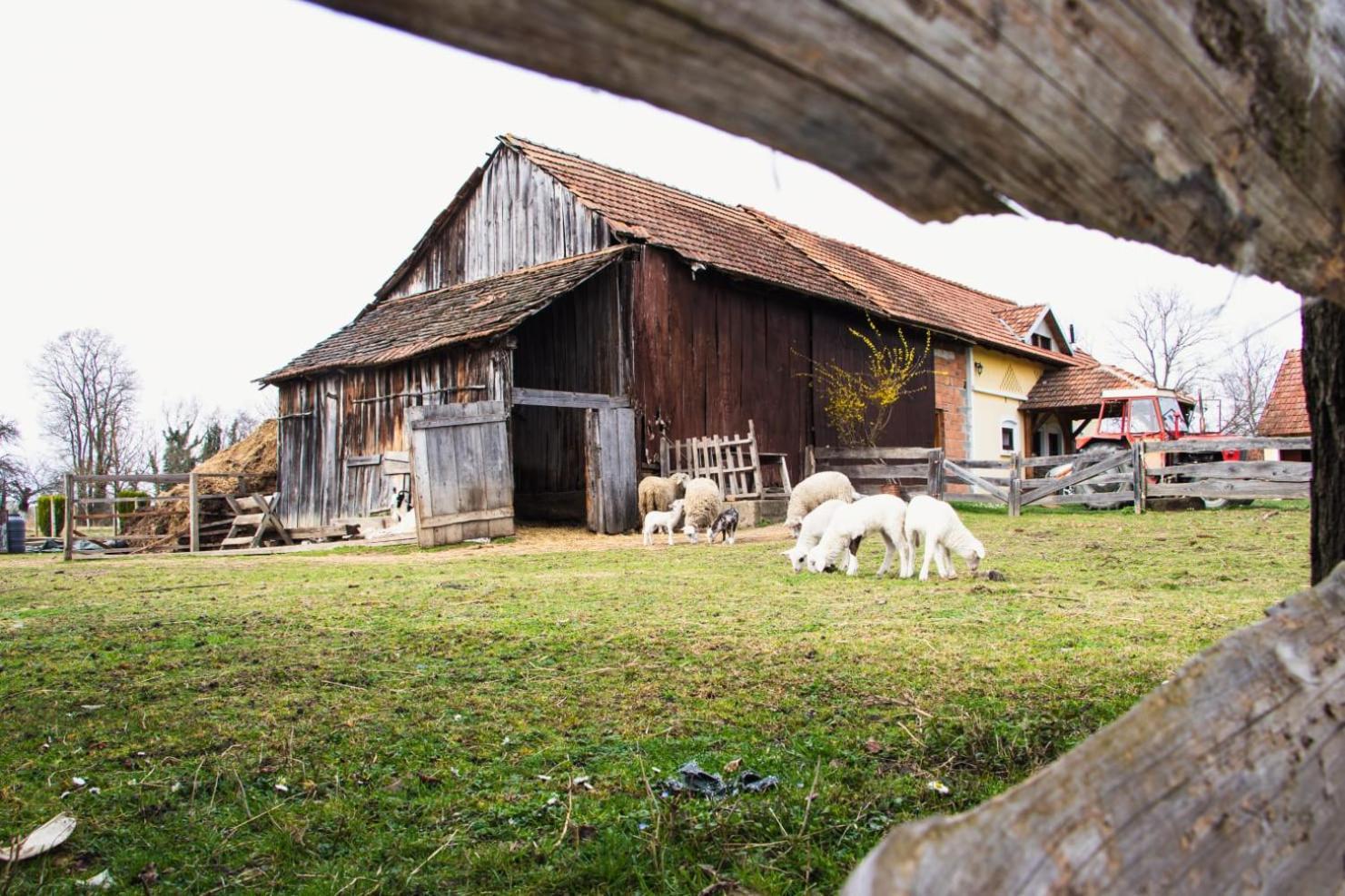 Country House Ivancan Molna Kültér fotó