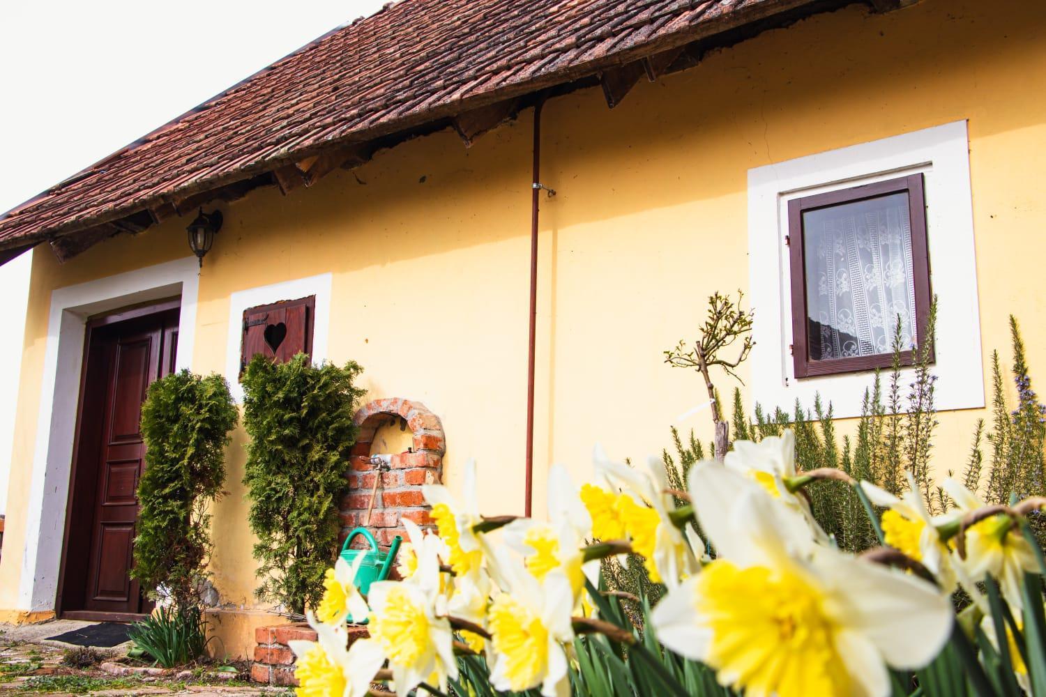 Country House Ivancan Molna Kültér fotó