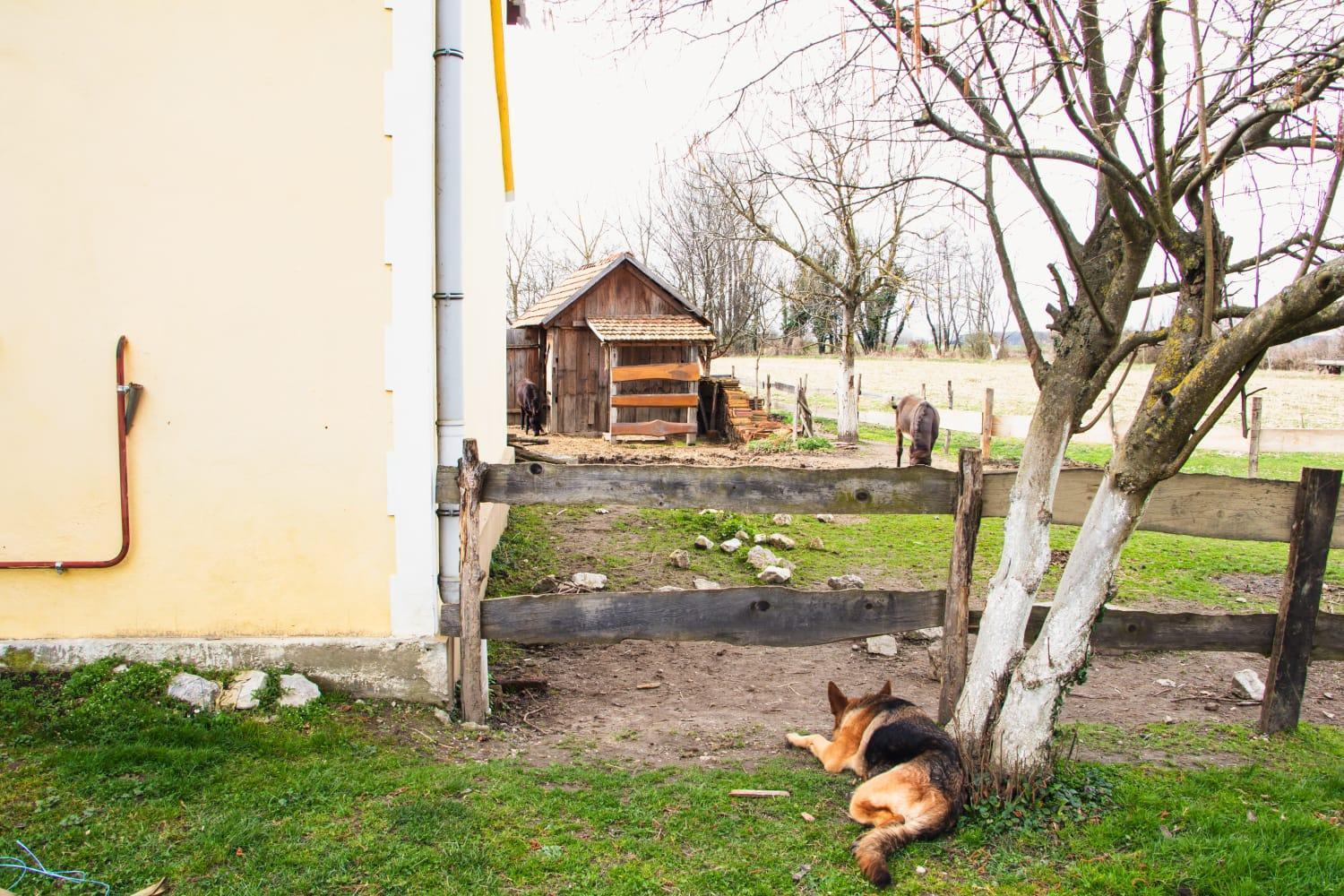 Country House Ivancan Molna Kültér fotó