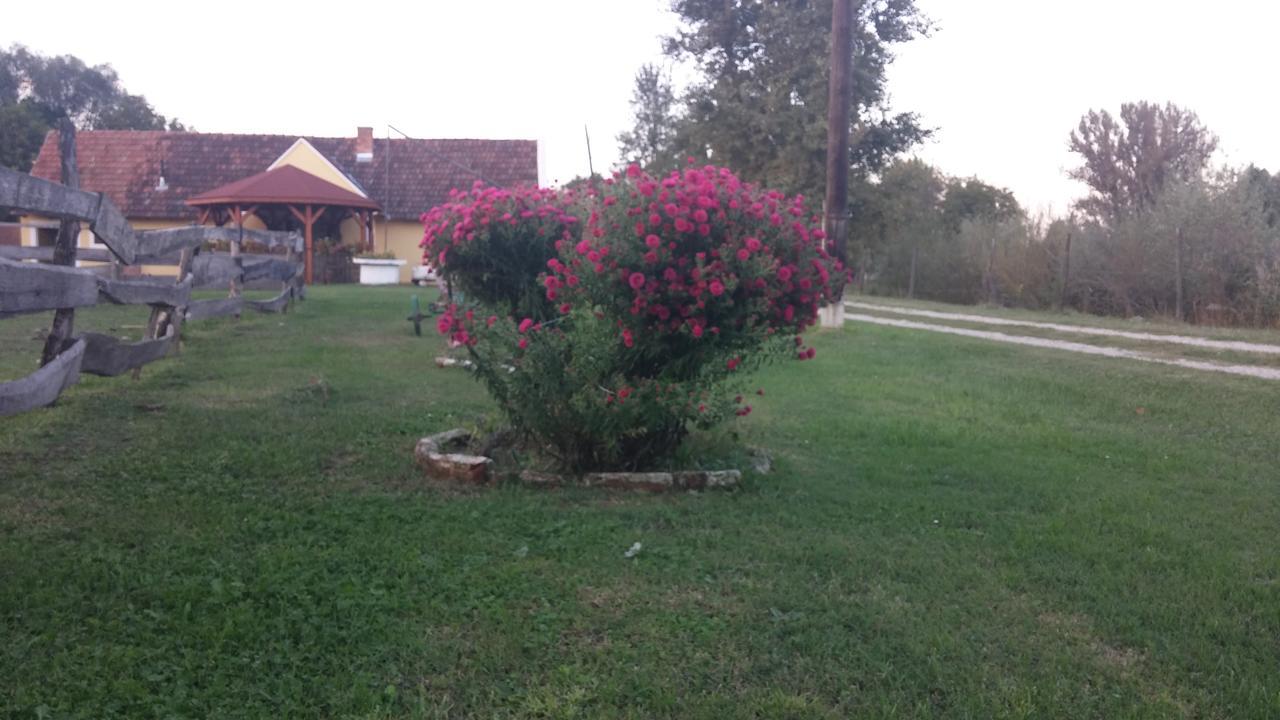 Country House Ivancan Molna Kültér fotó